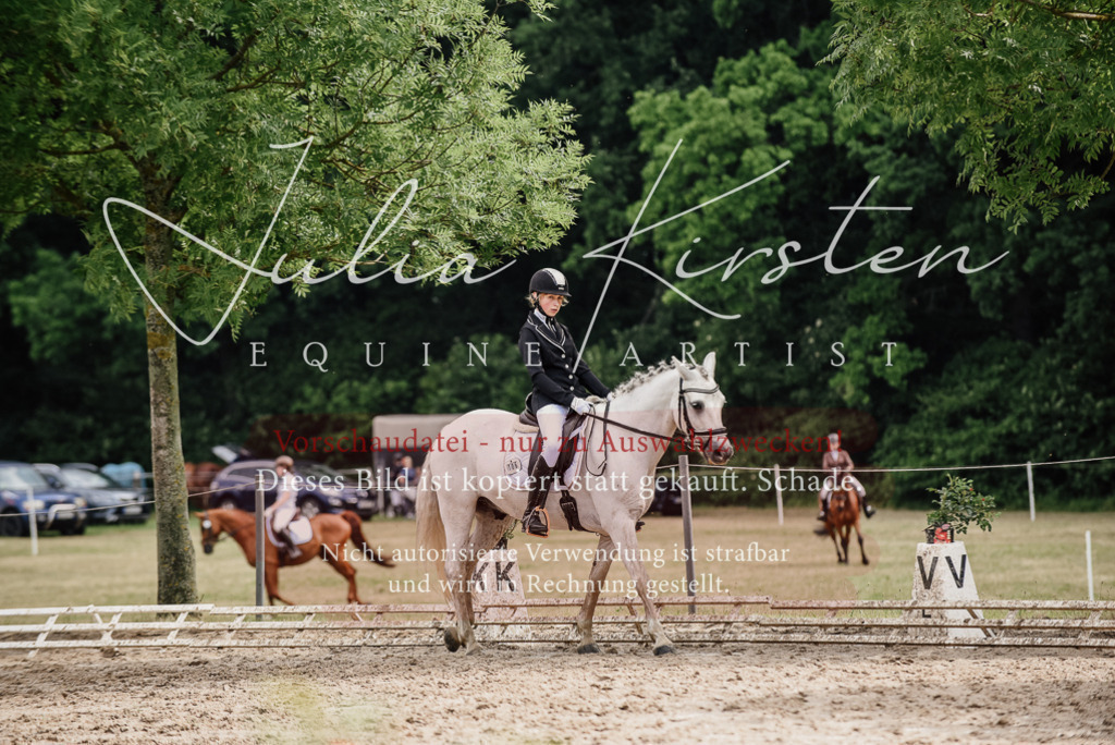 DSC_9443 | Pferde- und Turnierfotografie in Westsachsen. Pferdeportraits, Auftragszeichnungen und intuitive Kunst.
