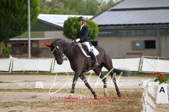 DKP40804 | Turniersportfotografie; Pferdefotografie; Dressurfotografie