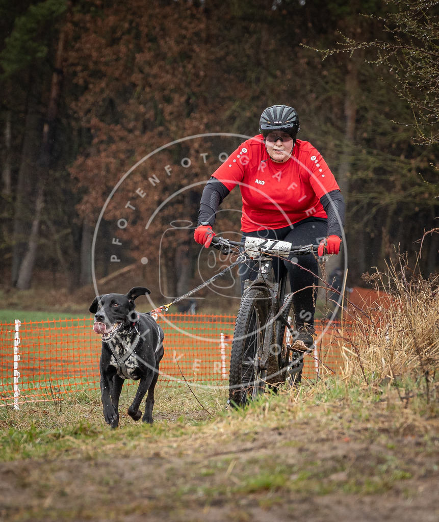 0L8A8857 | Hundefotografie, Tierfotograf, Pfotenfotografie, Fotoshooting Hund, Hunde Portrait, Hundesport, Hundeportraits, Heideshooting, Hunde, Sportfotograf, Hundefotograf, Turnierhundsport, THS,  - Realisiert mit Pictrs.com