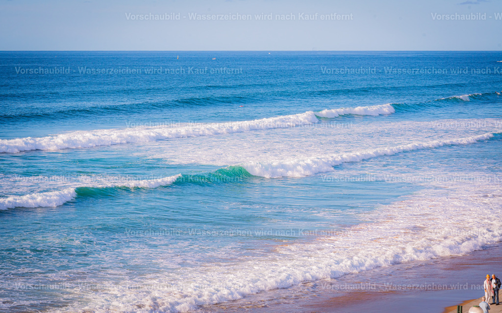 DSC02792 | marcuslinek