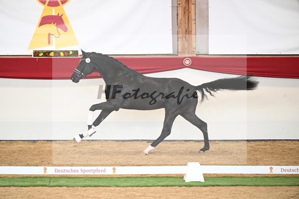Kat.-Nr. 70 v. Iron_Klausing_2250528 | hf-fotografie - Realisiert mit Pictrs.com
