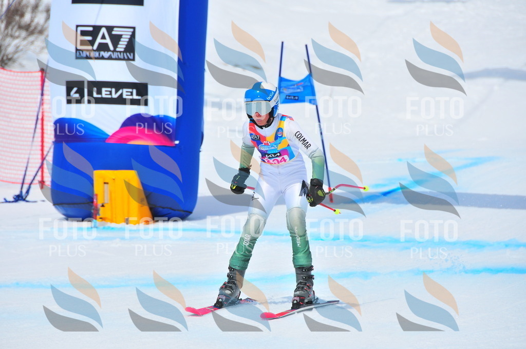 DSC_6487 | holidayphoto