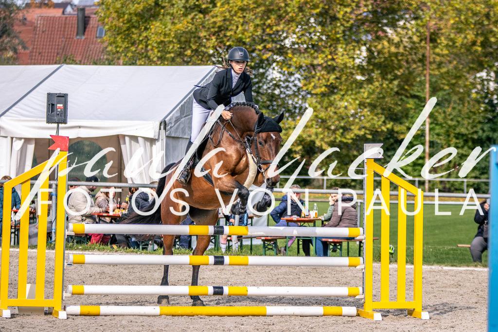 IMG_5421 | Erleben Sie dynamische Sport- und emotionale Tierfotografie in Süddeutschland mit Fotos von Paula. Spezialisiert auf Pferde- und Hundefotografie sowie Sportevents. Kontaktieren Sie mich für einzigartige und ausdrucksstarke Bilder Ihrer besonderen Momente. - Realisiert mit Pictrs.com