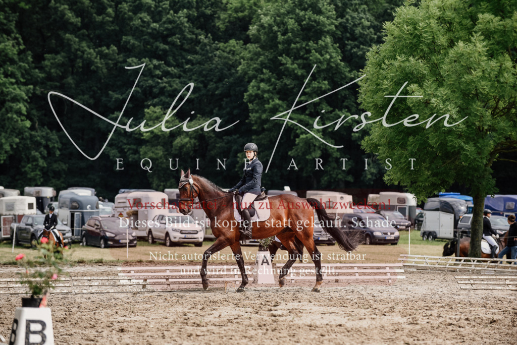 DSC_9597 | Pferde- und Turnierfotografie in Westsachsen. Pferdeportraits, Auftragszeichnungen und intuitive Kunst.