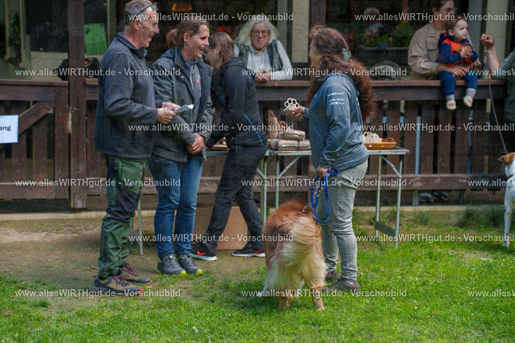 @allesWIRTHgut_Tierfotografie - www.allesWIRTHgut.de - 7R506164 | Professionelle Tierfotografie in Mönchengladbach von Daniel Wirth (allesWIRTHgut). Liebevolle & natürliche Bilder von Hunden & Katzen für unvergessliche Erinnerungen.
