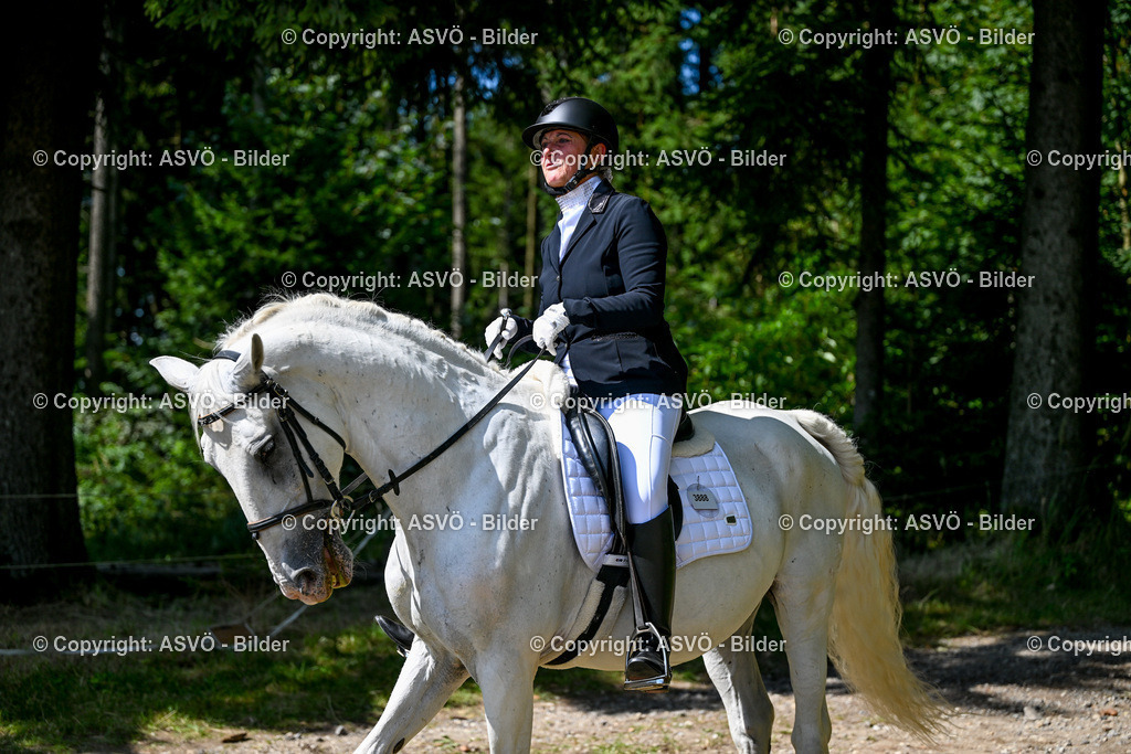 ASVÖ_ Reiten Bezirksmeisterschaft_ 24.08.2025-54 | 24.08.2025, AUT, ASVÖ, Reiten Bezirksmeisterschaft 2025Dressur und Springreiten©fodo.media / Harald Dostal - Realisiert mit Pictrs.com