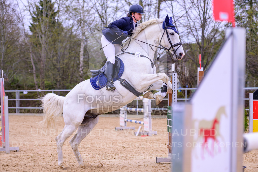 12042026-Mammendorf-Prfg42-0304 | Fokus Hufschlag Fotografie - Realisiert mit Pictrs.com