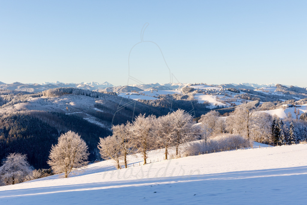 Panoramablick Sankt Leonhard am Wald | Ihre Fotografin im Lungau, ihre Fotografin im Mostviertel, Wandbilder Onlineshop, Imagefotos für Ihr Unternehmen,  - Realisiert mit Pictrs.com