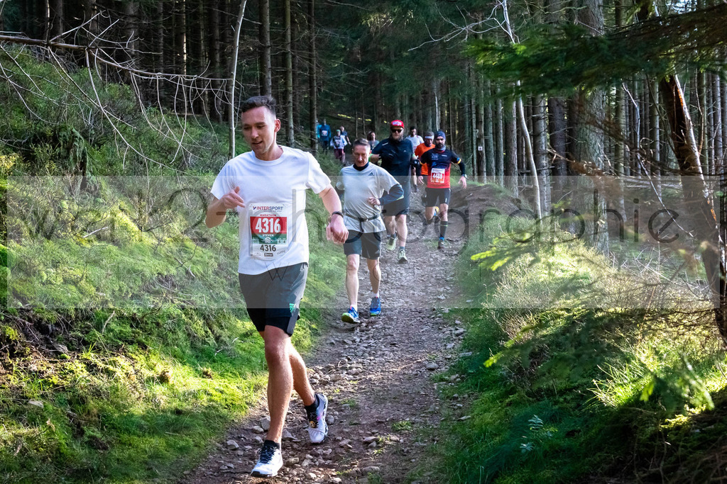 Rennsteiglauf 2021 | Marathon Neuhaus/Rwg. - Schmiedefeld
