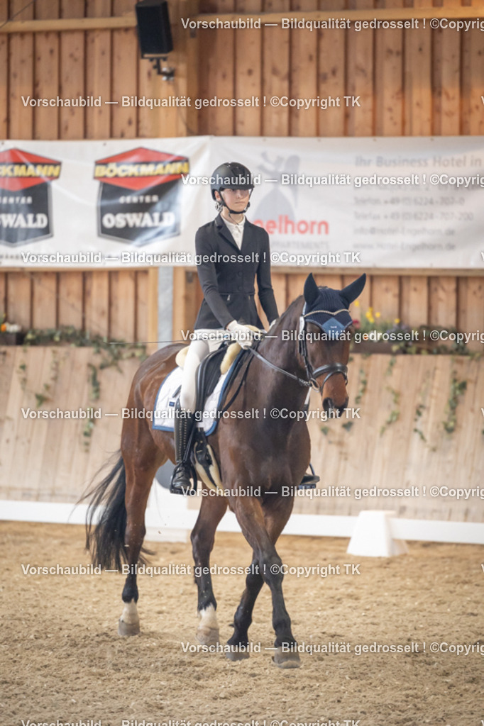 _D5A2220 | Emotionale Pferde- & People-Fotografie rund um Heidelberg, Leimen & Umgebung. Natürliche Fotos von Pferd, Mensch & Familie. Jetzt Termin sichern!