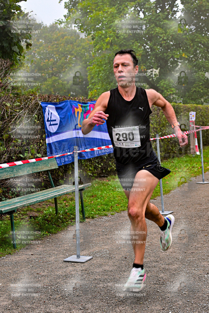 Z8N_1171 | la-psv - Realisiert mit Pictrs.com