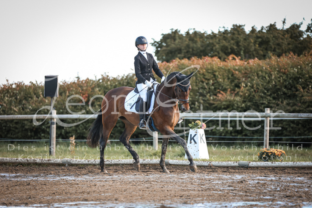 07.SoDrE00115 | Leoni Ertmer Photography - Realisiert mit Pictrs.com