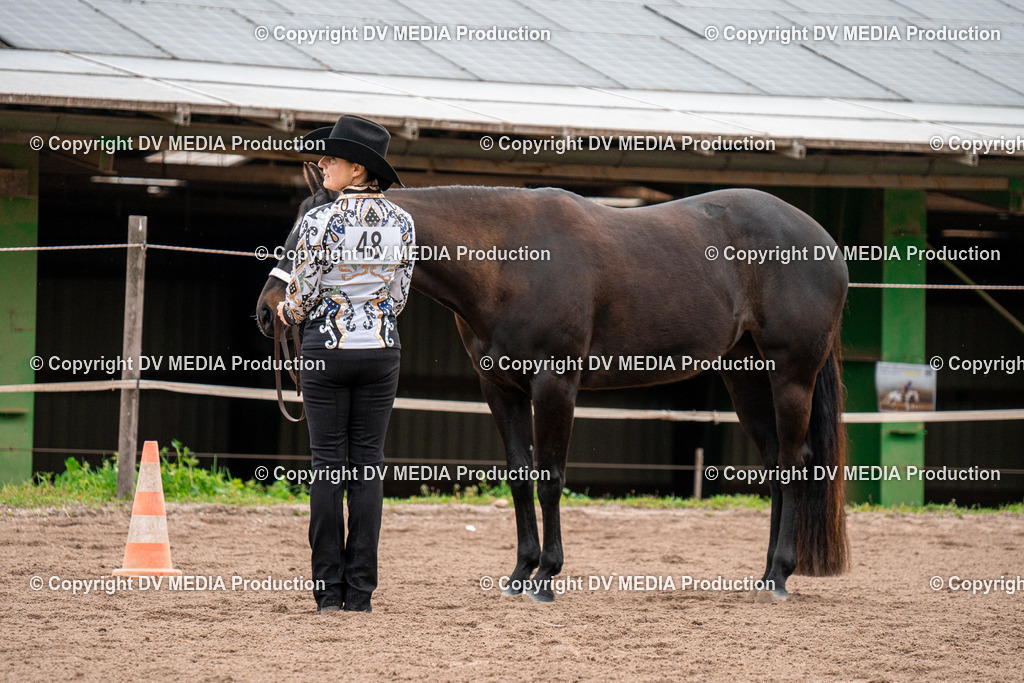 BA300127 | dv-media-shop - Realisiert mit Pictrs.com