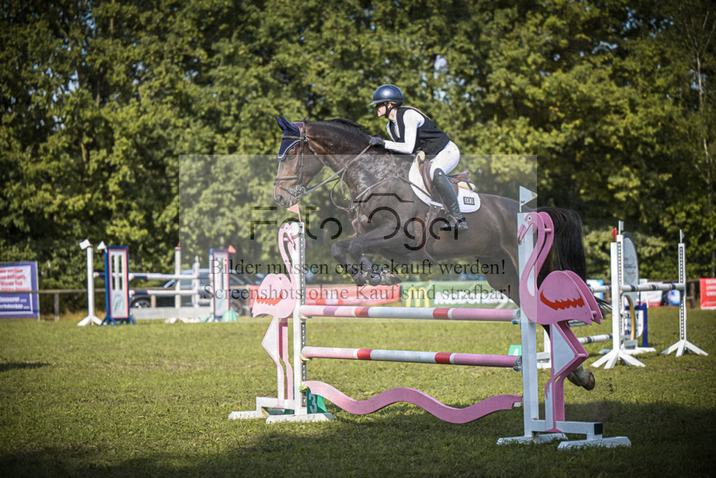 DOS_0805 | Entdecke hochwertige Reitturnierfotos von Foto Oger. Professionell, emotional und authentisch – jetzt Lieblingsmomente im Shop bestellen.Deutschlandweite Turnierfotografie. - Realisiert mit Pictrs.com