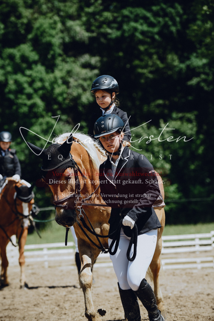 DSC_2579 | Pferde- und Turnierfotografie in Westsachsen. Pferdeportraits, Auftragszeichnungen und intuitive Kunst.