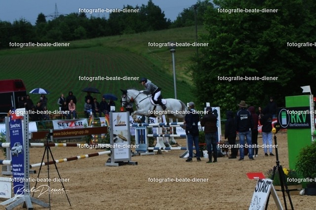 OHT2561 | Fotografie, Tiere, Hunde, Katzen, Pferde, Sportfotografie, Fotosession, Tierfotografie, Turnierfotografie, Fotografin, Fotograf - Realisiert mit Pictrs.com