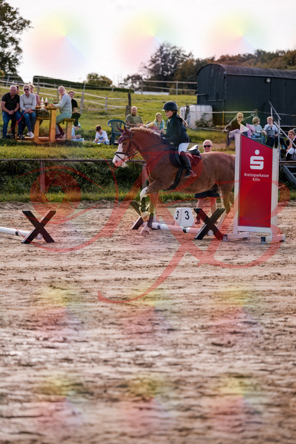 2026_10_03_Siefer-Hof_144453_Z81_19234000 | Professionelle Reitsport-, Turnier- und Eventfotografie von Robert Broda. Galerien mit ausgewählten und bearbeiteten Bildern direkt online ansehen und bestellen.