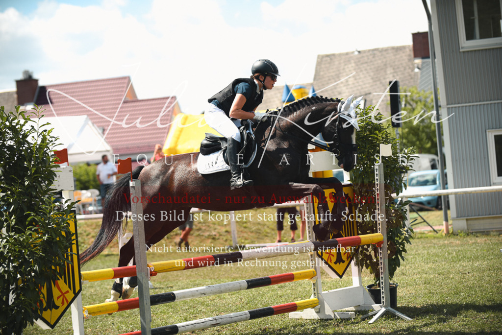 DSC_6718 | Pferde- und Turnierfotografie in Westsachsen. Pferdeportraits, Auftragszeichnungen und intuitive Kunst.