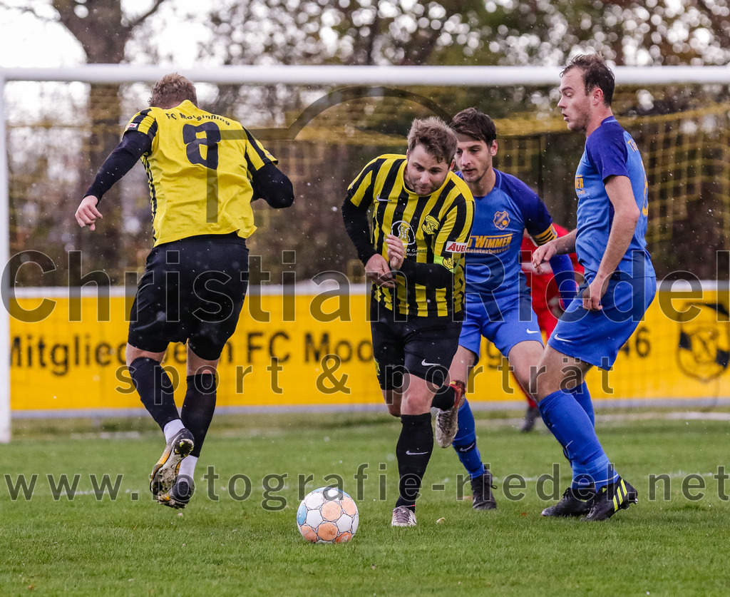 2023-11-11_069_FC_Moosinning_gegen_TSV_Peterskirchen | Moosinning, Deutschland, 11.11.2023:
Fußball, Bezirksliga Oberbayern Ost 2023 / 2024, 17. Spieltag, FC Moosinning gegen TSV Peterskirchen, Endergebnis: 5:0

Stefan Haas (FC Moosinning, #8), Peter Werndl (FC Moosinning, #9), Marcel Schauberger (TSV Peterskirchen, #6)

Foto: Christian Riedel / fotografie-riedel.net