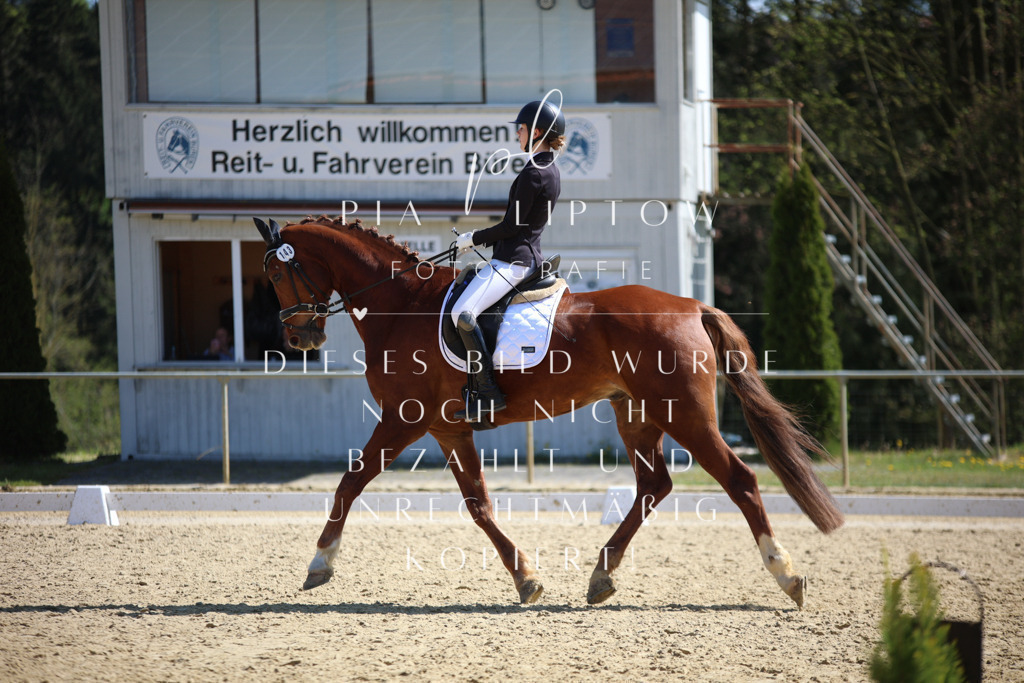 IMGT7353 | pl-fotografie