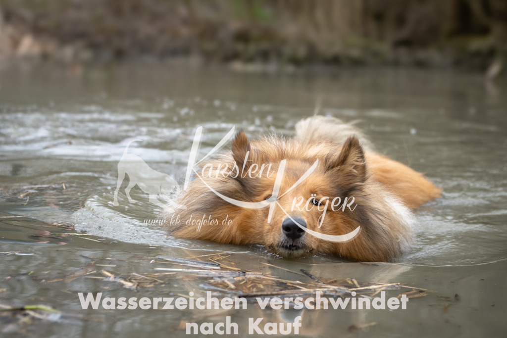 1048_ZZ92265 | kk-dogfotos