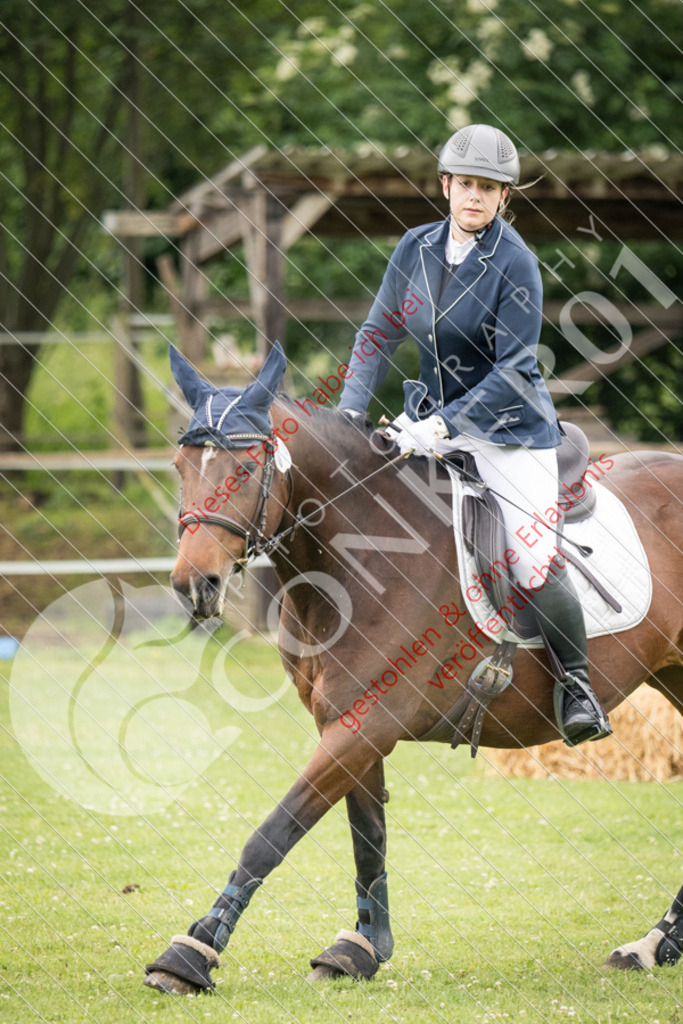 IMG_2566 | Sport-, Event- und Tierfotos in Profiqualität. Einfach auswählen, bestellen und herunterladen. Dein Moment – perfekt festgehalten.