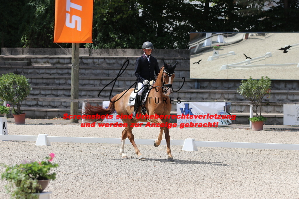 IMG_4304 | lmwpictures - Realisiert mit Pictrs.com