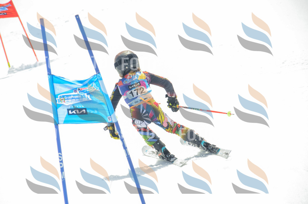 _ELE6573 | holidayphoto