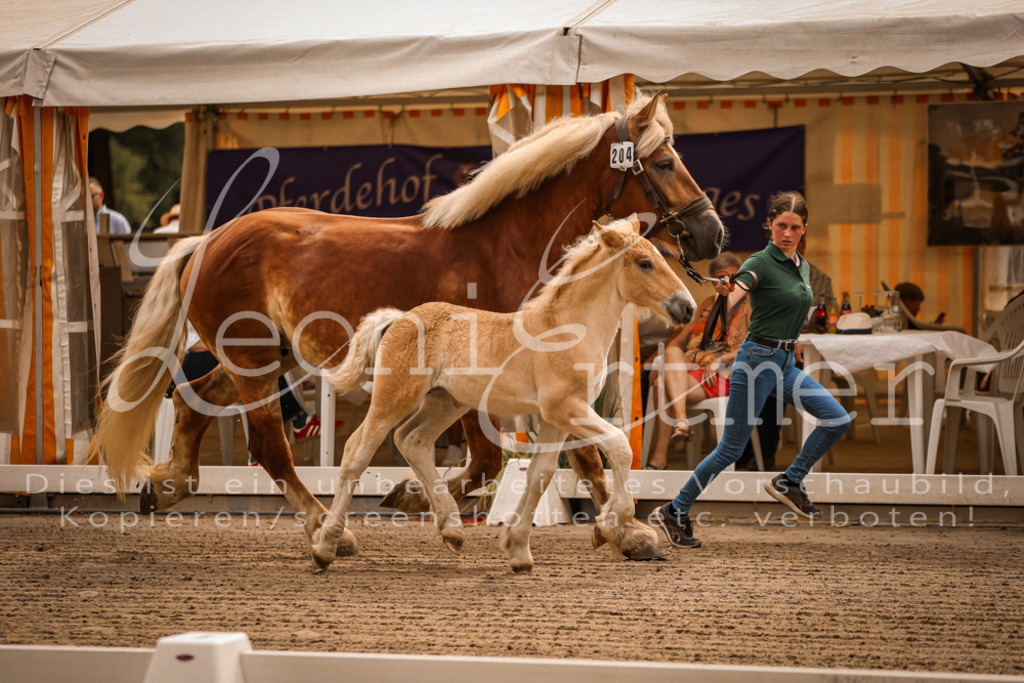 SaSF00012 | Leoni Ertmer Photography - Realisiert mit Pictrs.com