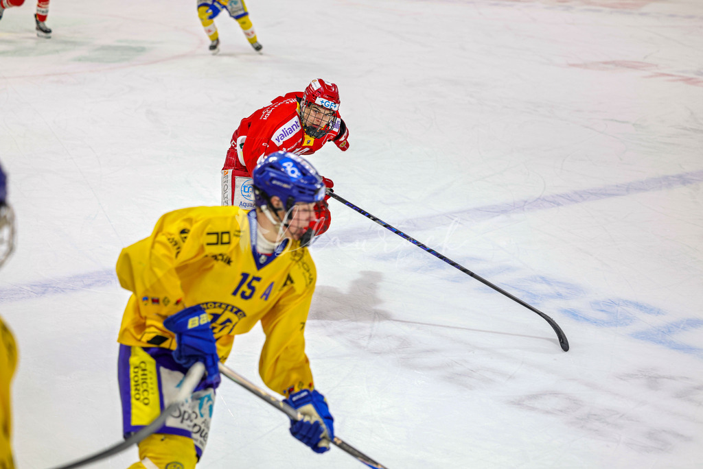 EHCB vs HCD-0678 | Sportbilder, Sportfotograf, Hochzeits- und Eventfotografin, Flugshows, Portraits und Tiershooting, Aviation, Downhill, Nationalleague, Swissleague, International