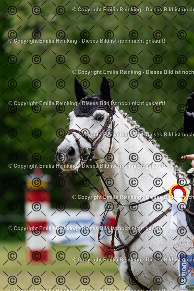 CL5A8384 | Emilia Reinking Fotografie - Realisiert mit Pictrs.com