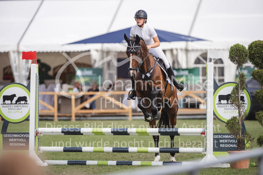 230714_LC_Mini-236 | Deine schönsten Turniermomente als professionelle Fotos! Entdecke hochwertige Pferdesport-Fotografie im Online-Shop. Jetzt Fotos finden & bestellen!