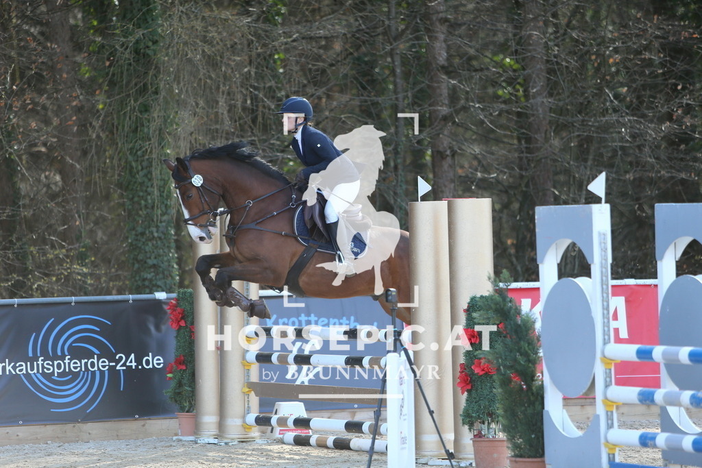 DL2Q3968 | Willkommen bei Brunnmayr - Design & Fotografie – Ihrem Spezialisten für Reitturniere und Pferdeveranstaltungen in Oberösterreich, Salzburg und Bayern! Seit über 17 Jahren sind wir leidenschaftlich dabei.