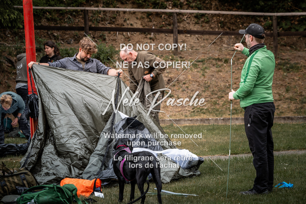 nelerasche_SaAbends_54 | nelerasche