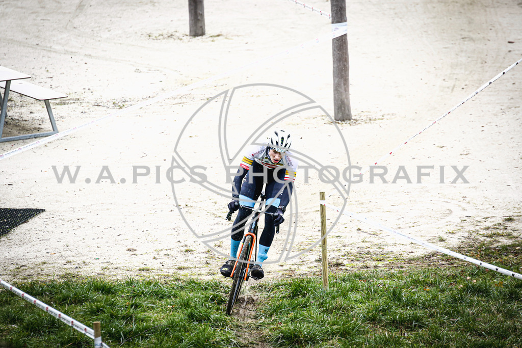..... | AUSTRIA, 24.11.24, 3.Radquerfeldein GP um das Sportzentrum Gunskirchen Image shows: Photo: Wapics / Andreas Willdoner