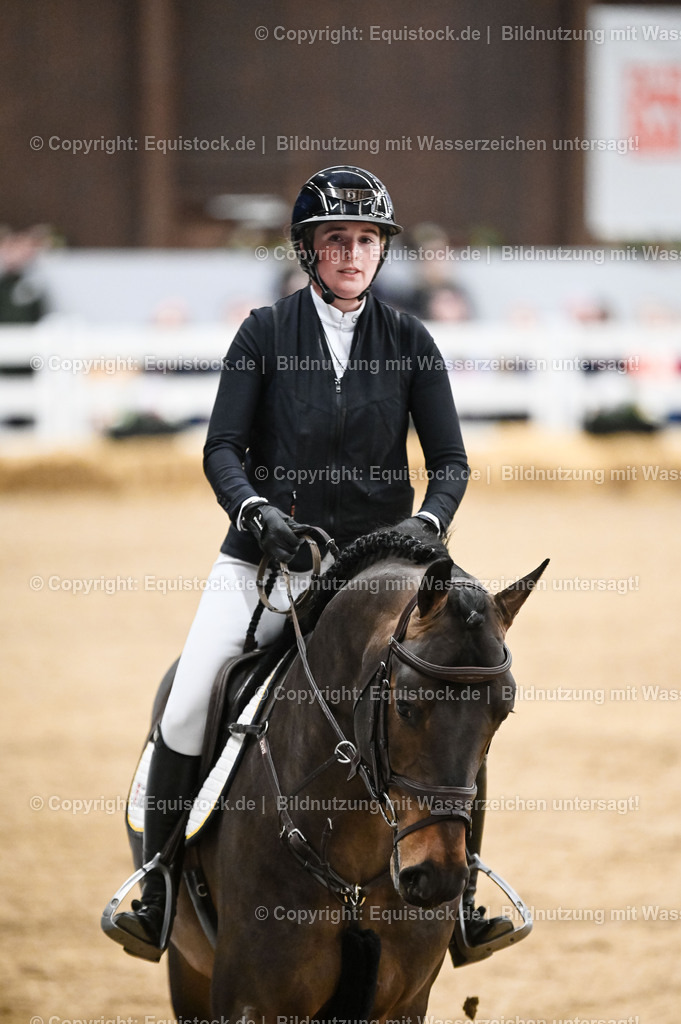 20260307_Hengstvorstellung-Marbach_0116 | equistock