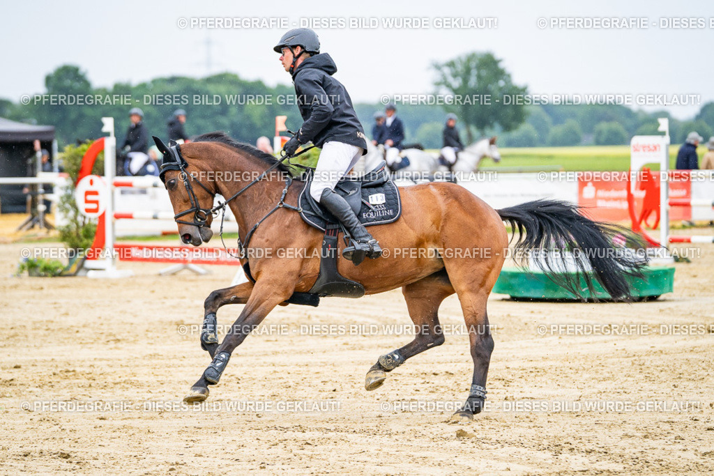 DSC08235 | Pferdegrafie