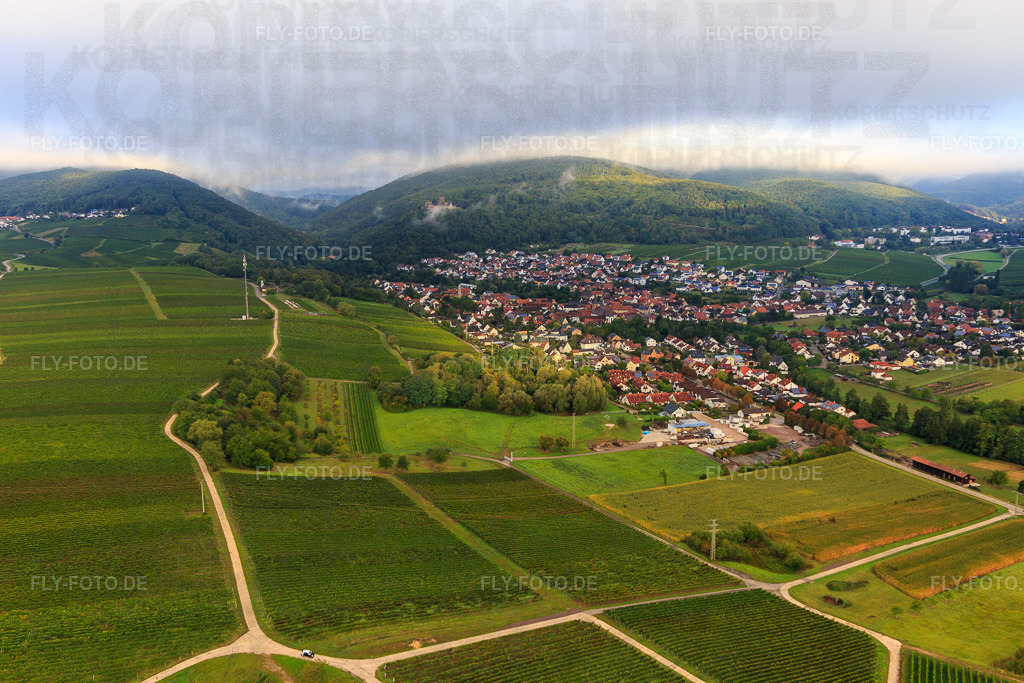 Weinberge am südlichen Ortsrand | Luftbild: Weinberge am südlichen Ortsrand in Klingenmünster im Bundesland Rheinland-Pfalz in Deutschland. Foto: IMG_103298.jpg vom 10.09.2017 durch Werner Riehm/FLY-FOTO.de - Realisiert mit Pictrs.com