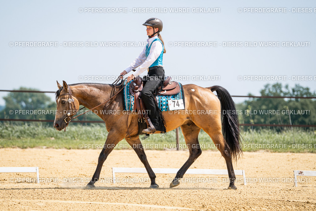 DSC00921 | Pferdegrafie