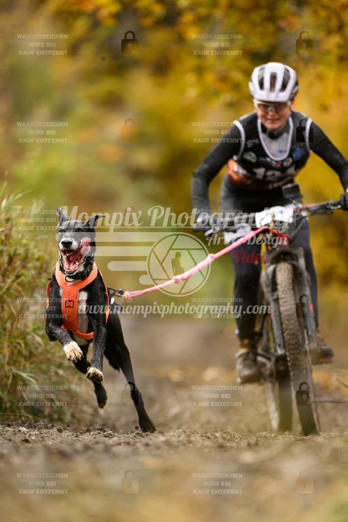 MompixPhotography_ICF_WC_2024_SA_Bike_-99 | PayLife