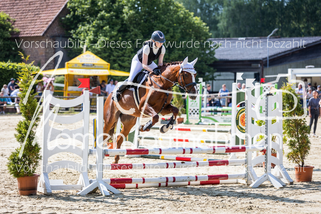 Donop24-ESpr-048 | MomenTaufnahmen Pferdesportfotos