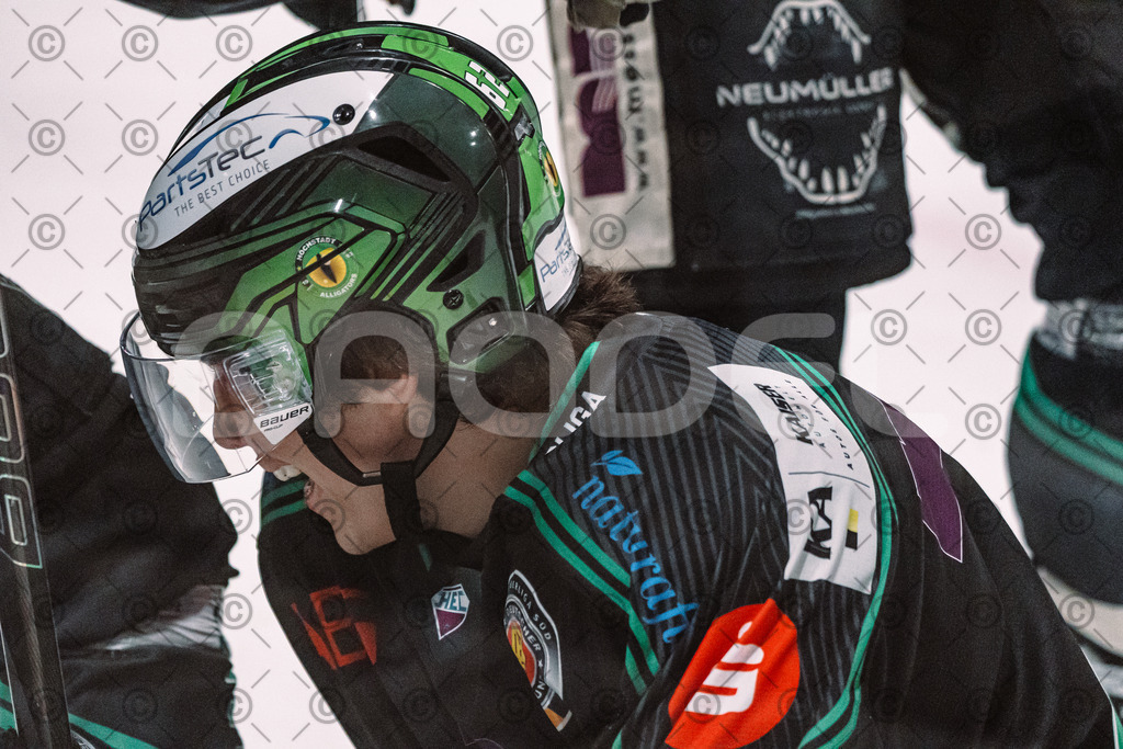 Alligators_vs_Lindau_20_02_2026-32 | Höchstadt Alligators Fotogalerie: Eishockey-Action aus Franken. Professionelle Spielfotos, Portraits & Stadionbilder zum Download. Jetzt entdecken! - Realisiert mit Pictrs.com