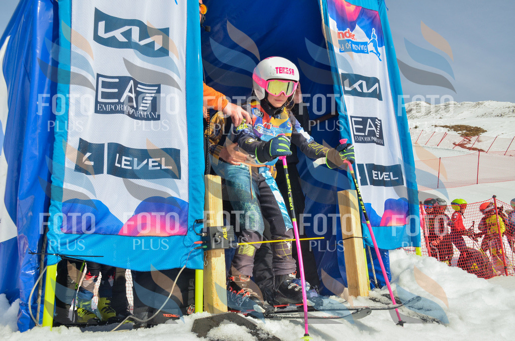 _ELE4423 | holidayphoto