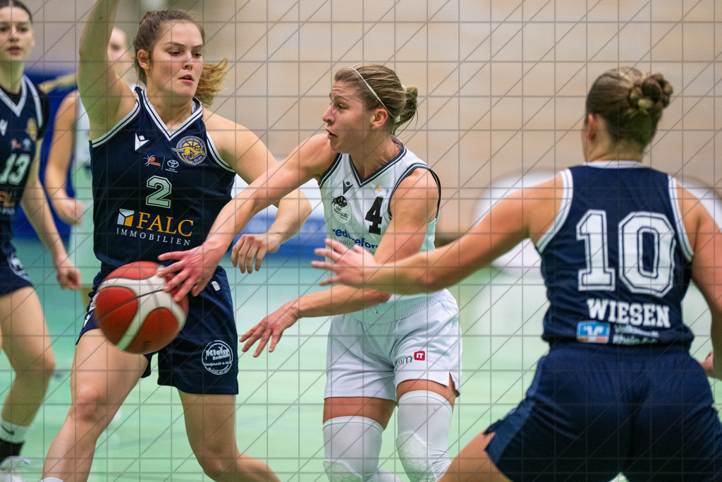 2. DBBL Nord 25/26 | Spieltag 10 | BBC Osnabrück vs. Hürther BC | //  07.12.25: 2. DBBL Nord 25/26 | Spieltag 10 | BBC Osnabrück vs. Hürther BC / Osnabrück / Deutschland  //   CREDIT:www.bullenfotos.de, Martin König, Hörner Weg 40, D-49078 Osnabrück, +4917663732967 // Nutzung und Weitergabe nur zu den vereinbarten Zwecken. Presseanfragen an Ersteller. Alle Rechte beim Ersteller. Honorierung nach MFM. - Realisiert mit Pictrs.com