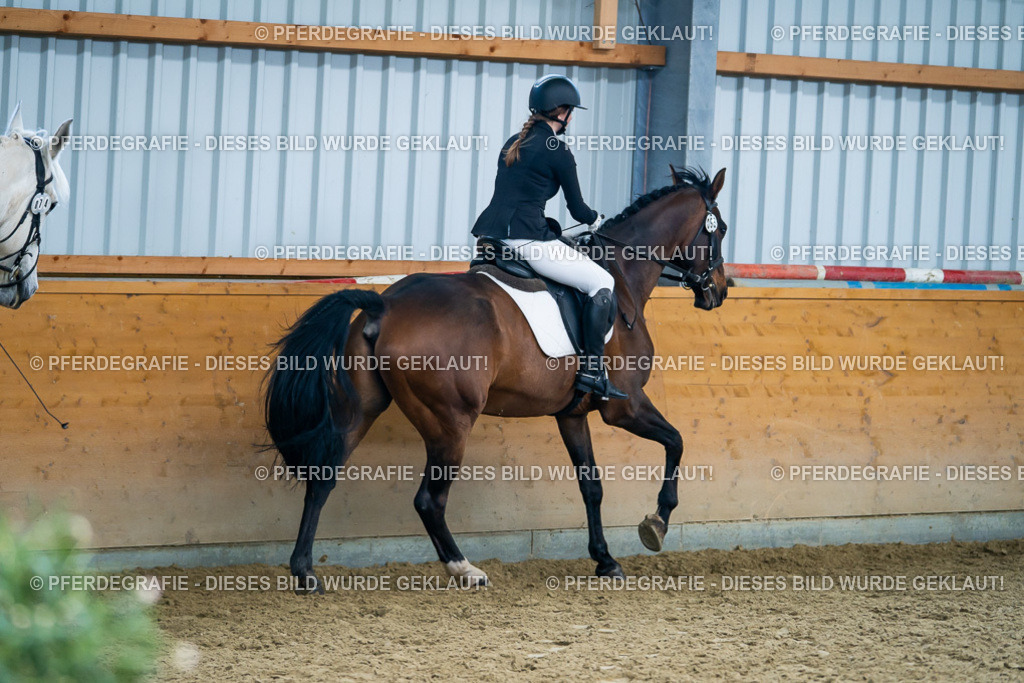 DSC05736 | Pferdegrafie