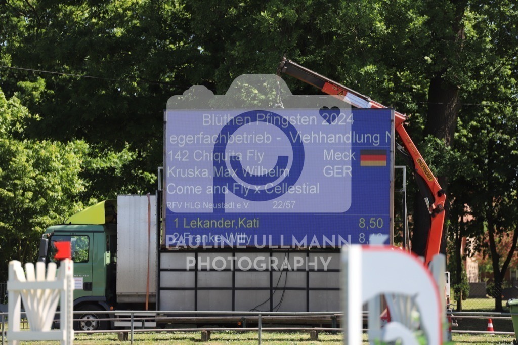 IMG_6169 | Pauline Ullmann Photography - Realisiert mit Pictrs.com