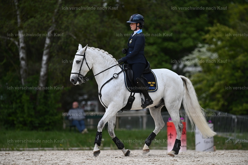 PI26_ST_Sara_Landvogt226_4249.JPG | working equitationturnier fotograf videograf stoibphotography marixx film working equitation deutschland reitsport turnierfotografie eventfotografie equestrian events