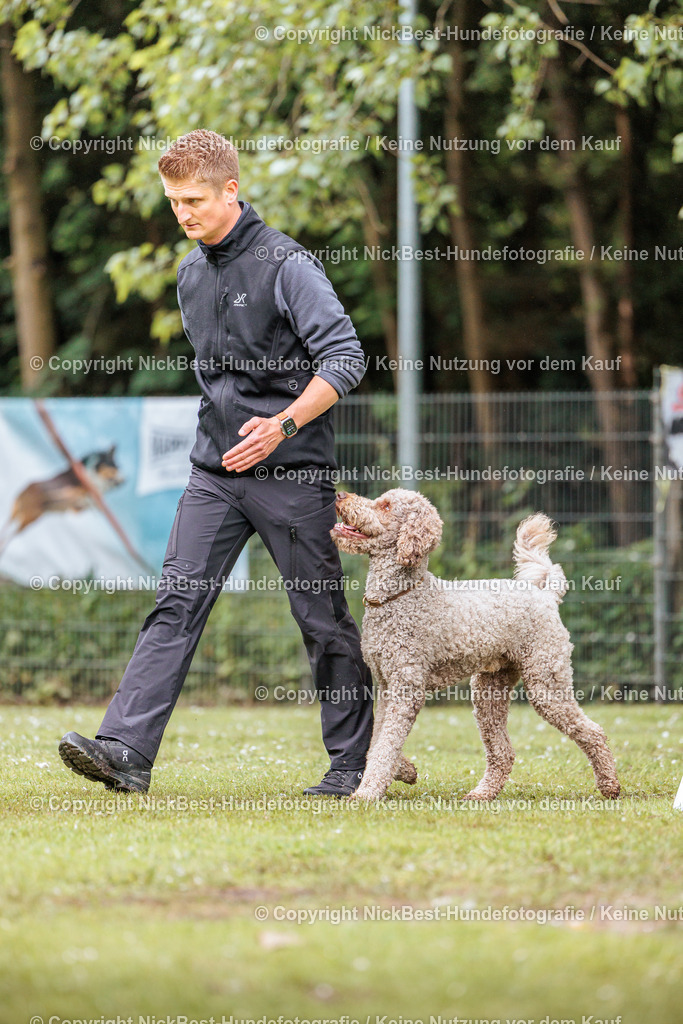 RO-Blumenthal-2026-Nickbest-Hundefotografie-4194 | Dein Hund! Dein Moment! Deine Erinnerungen! Hundefotografie in Bremen Blumenthal. Ich fange die besonderen Momente deines Vierbeiners ein – ob Indoor mit Blitzanlage oder in der freien Natur. Sicher dir dein Moment und dein Termin für eure Erinnerungen.