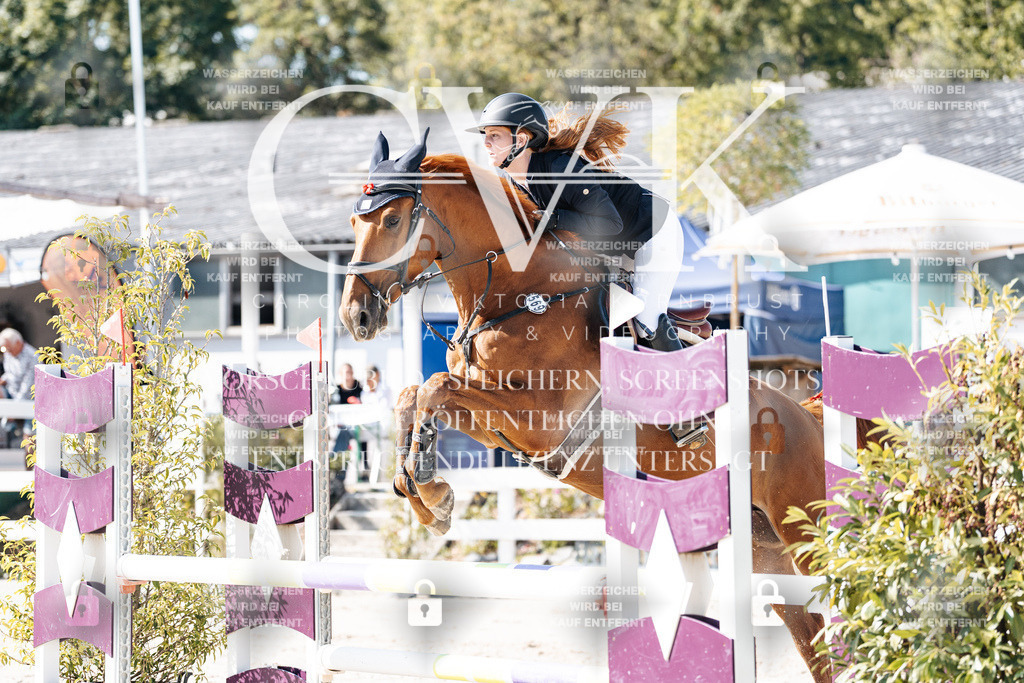 CK907963 | Turnierfotografie Pferdefotografie Trier Rheinland-Pfalz Pferdesport Reitsport Tierfotografie Sportfotografie Pferdevideo Pferdevideografie Equestrianvideography equestrianphotography  - Realisiert mit Pictrs.com