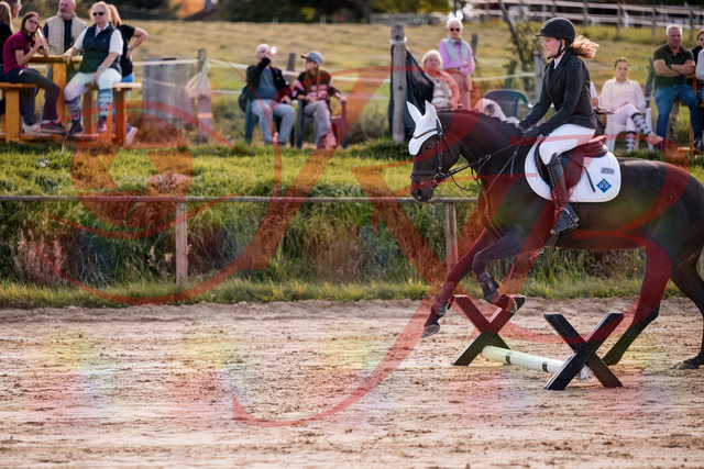 2026_10_03_Siefer-Hof_145918_Z81_41316208 | Professionelle Reitsport-, Turnier- und Eventfotografie von Robert Broda. Galerien mit ausgewählten und bearbeiteten Bildern direkt online ansehen und bestellen.